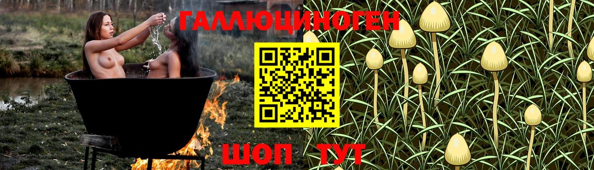 Галлюциногенные грибы ЛСД Костомукша